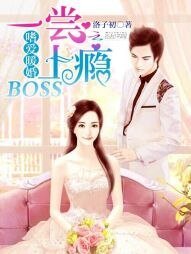 嗜爱暖婚:BOSS一尝上瘾