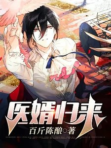 醫婿歸來